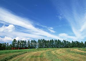 都筑区で信頼できる葬儀サービスを徹底解説！2025年最新ガイド