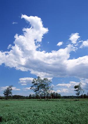 静岡県浜松市に根ざした安心の葬儀サービス｜富士葬祭 高林の特徴と店舗情報
