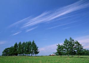 静岡市の安心・低価格な葬儀サービス｜家族葬のタクセルの特色と店舗情報