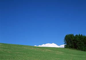 静岡県富士宮市における家族葬専門式場「家族葬のタクセル光町」の詳細と特徴