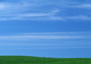 【公式】家族葬のタクセル竹林町｜栃木県宇都宮市の家族葬専門斎場とその特徴
