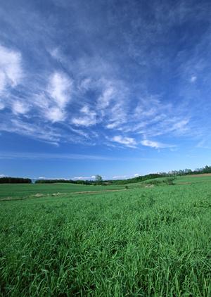 荒川区の信頼と実績を誇る葬儀相談サロン「ティア町屋」：家族葬から一般葬まで幅広く対応