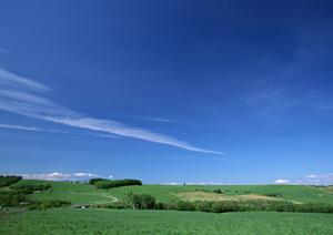 静岡市葵区の家族葬専門斎場「家族葬のタクセル長沼」の特徴とサービス内容