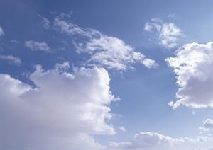 静岡市で安心の葬儀サービスを提供する富士葬祭折戸：家族葬・斎場・火葬場の詳細ガイド