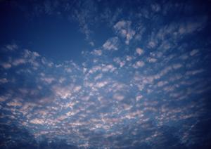 静岡県焼津市に新登場！家族葬のタクセル焼津｜充実のサービスと安心の料金体系