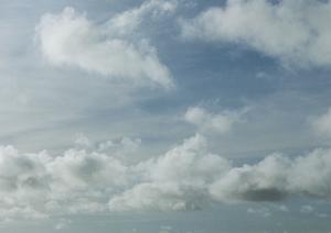 静岡県における安心・低価格の葬儀サービス：家族葬のタクセルが提供する安心の選択肢